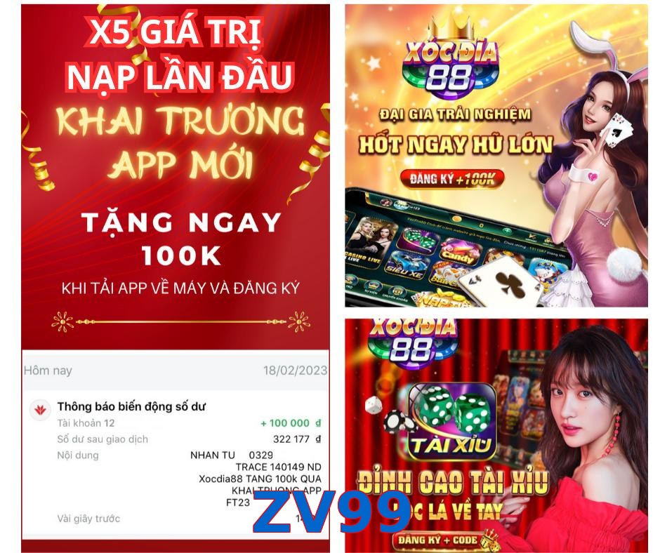 ZV99